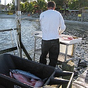 Picture 011